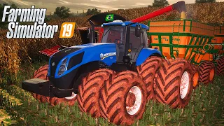 BAZUCANDO A COLHEITA DE MILHO NA LADEIRA | Farming Simulator 19 | Sitio Santa Rita