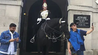 Watch: King's Guard Horse Nibbles Visitor & Sparks Hilarious Freakout at Horse Guards Parade!