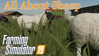 Farming Simulator 19 | An In-Depth Guide to Raising Sheep | A Tutorial