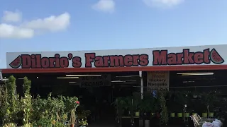 MY OLD SCHOOL SOUL FOOD FARMERS VEGETABLE AND FRUIT MARKET HAUL