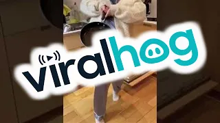 Girl Flipping Pancake Stumbles on Dishwasher || ViralHog