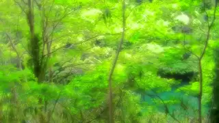 【癒し系】自然音 静かな湖畔の小鳥たち