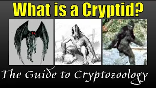 What is a Cryptid? The Guide to Cryptozoology