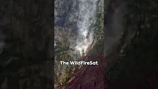 SHORT How satellites assist wildfire management