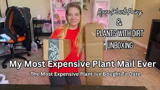 My Most Expensive Plant Mail