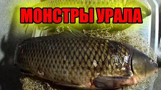 САЗАН НА СЕТЬ ! ВКУСНЯТИНА ИЗ ЛЕЩА !!! РЫБАЛКА НА СЕТЬ !