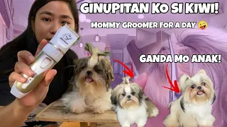 ANG BAHO NI KIWI! BAKIT NGA BA MABAHO ANG MGA SHIHTZU?  (BASIC GROOM TUTORIAL FOR SHIHTZU)