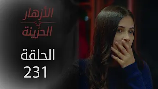 مسلسل الأزهار الحزينة | الحلقة 231 - الموسم الثاني