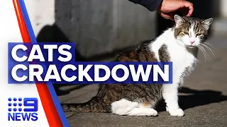 Crackdown to stop cats overpopulating SA city | 9 News Australia