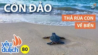 YDL #80: Thả rùa con về biển ở Côn Đảo, lặn ngắm san hô Hòn Bảy Cạnh | Yêu Máy Bay