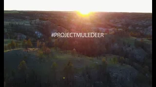 Mule Deer Foundations #Project Mule Deer