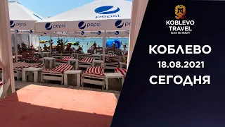 ✔️Коблево Видео: Обзор Palm Avenue и пляжа в центре курорта. 18.08.21.