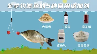 寒冷的冬季钓鲫鱼，常用的5种“添加剂”必不可少，但不能加太多