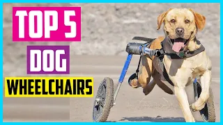 ✅ Top 5 Best Dog Wheelchairs In 2023