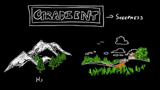 What is a Gradient?