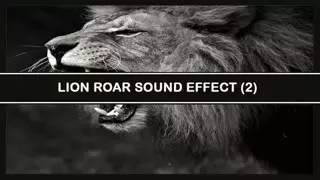 Lion Roar Sound Effect 2