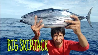 #3 CATCHING GIANT SKIPJACK