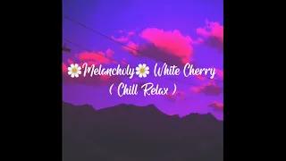 🌼Melancholy🌼 White Cherry ( Chill Relax )