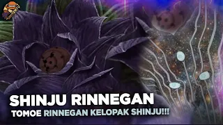 SHINJU OTSUTSUKI KAGUYA DAN KEBENARAN KELOPAK SHINJU POHON DEWA ?