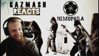 Metal Singer Reacts | NEMOPHILA / RAITEI REACTION