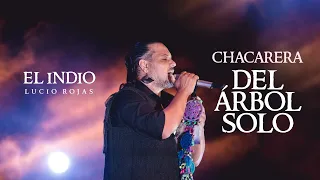 El Indio Lucio Rojas - Chacarera del árbol solo