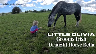 | Olivia Grooms Irish Draught Horse  | Olivia And JoJo |  Horse Life |