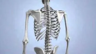 Learn about Thoracic Scoliosis