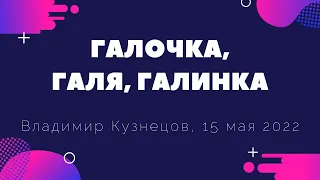 Топ музыка, Галочка, Галя, Галинка. Владимир Кузнецов.