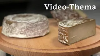 Deutsch lernen mit Videos | Schweizer Käse: jetzt auch vegan | mit deutschen Untertiteln