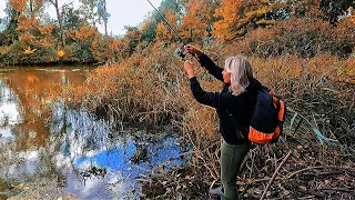 ЖОДНА РИБА НЕ ВСТОЇТЬ ПЕРЕД НЕЮ! Ловля хижака восени на джиг! Рибалка на спінінг з берега 2022