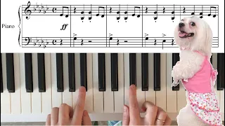 How to play The Flea Waltz piano EASY