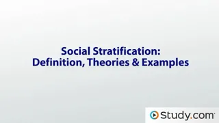 Social Stratification (Theories, Definitions and Examples)