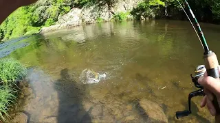 Went for Trout! Western NC