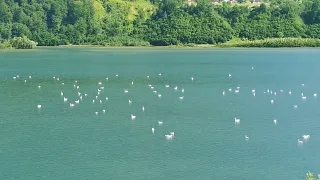 Lacul Pangarati,jud.Neamt,8.06.2022.