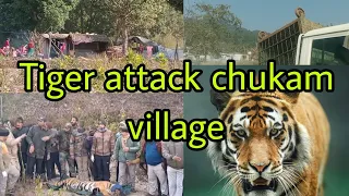 Tiger attack chukam village