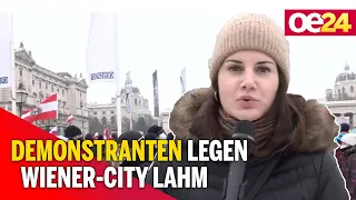 Tausende Demonstranten legen Wiener-City lahm