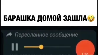 Барашка домой зашла😂😂😂