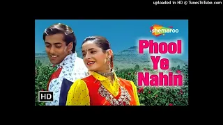 Phool Ye Nahin - HD Song _ Ek Ladka Ek Ladki _ Neelam Kothari_ Salman Khan _ Kavita Krishnamurthy_12