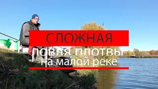 Сложная ловля плотвы на малой реке