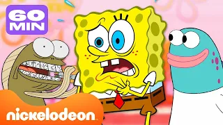 SpongeBob | Fred vs. Harold - Wie is de grappigste achtergrondvis? | Nickelodeon Nederlands