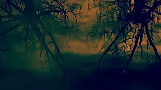 Creepy Swamp Halloween Scene 4K Long Screensaver || Wallpaper || Background Video