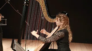 J.Williams - Schindler's List for Harp and Violin