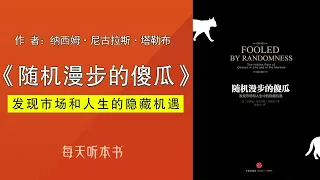 有声书：《随机漫步的傻瓜》 （完整版）｜你的事业如何才能赢