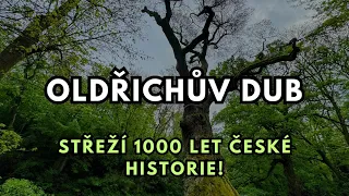 Nejslavnější NEVĚRA našich dějin! 🤫🥰 Oldřichův dub (4K/60 FPS)