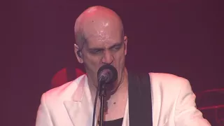 Devin Townsend Project - Love (The Retinal Circus Live)