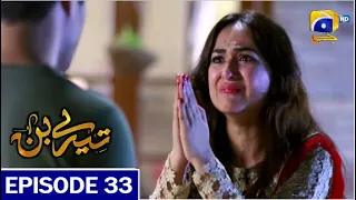 Tere Bin Episode 33 New Promo |Drama Tere Bin Next Episode 33 & 34 Teaser |Har Pal Geo Drama by DS