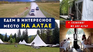 Ещё 1 интересное место на Алтае. Глэмпинг We Are Altay.