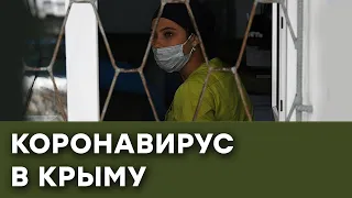 Коронавирус в Крыму: как инфекция расползается на полуострове — Гражданская оборона