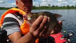 Рыбалка на Реке Волга Нижегородская область с.Хмелевка ловим ЛЕЩЕЙ