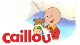 Caillou - Caillou's Getting Older  (S01E48) | Cartoon for Kids